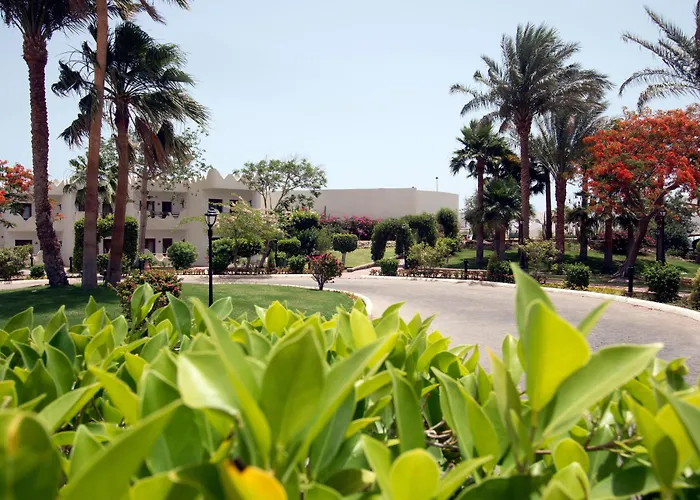 Swiss Inn Resort Dahab